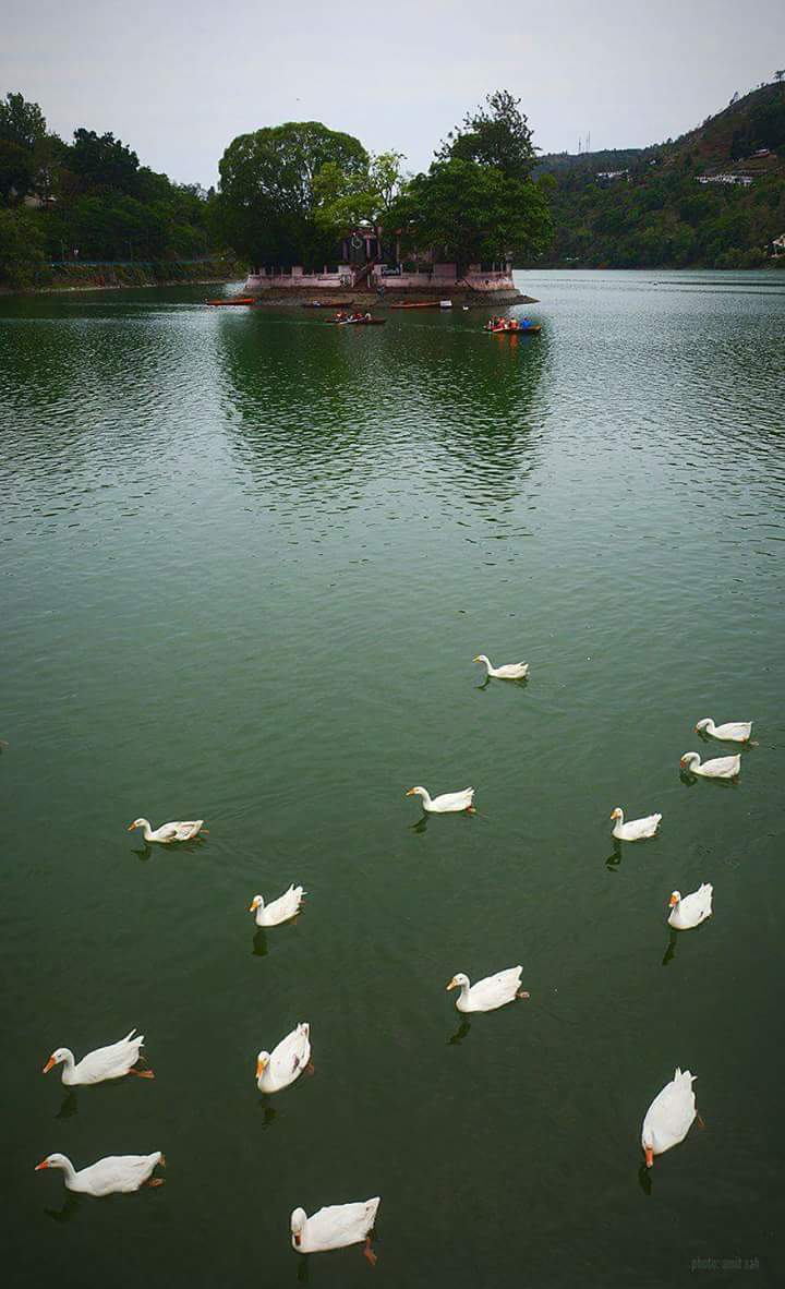 Bhimtal Lake & Island Aquarium